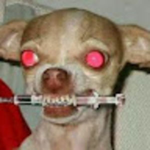 Meet your Posher, Joseph